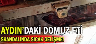 6 Ton Domuz Eti İle Yakalandı Serbest Kaldı