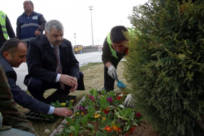 Büyükşehir, daha yeşil Kayseri için çalışıyor