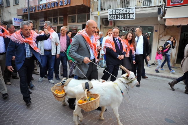 Seferihisar 16. Mandalina Şenliği yapıldı