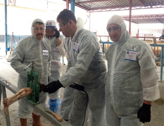 Veterinerlere uygulamalı tırnak bakım eğitimi