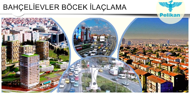 Bahçelievler Böcek İlaçlama Firması