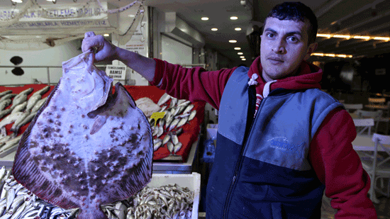 Bir adet kalkanın fiyatı dudak uçuklattı