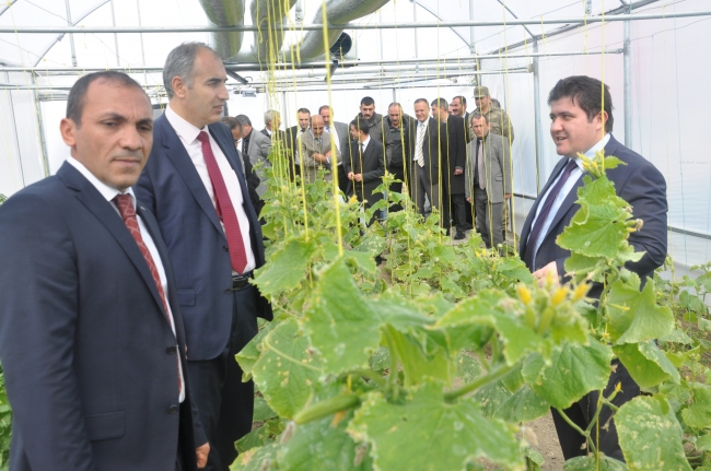 Erzurum'da güneş enerjili seracılık sistemi yaygınlaştırılıyor