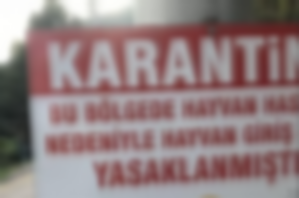 Gölcük'te üç köyde şarbon paniği oldu