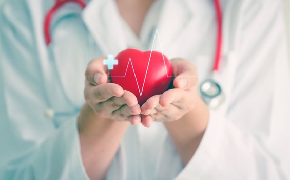 Kalp Sağlığına Yenilikçi Bir Bakış