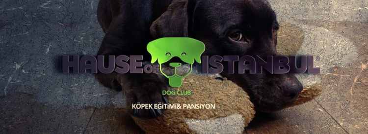 Köpek Pansiyonu Gaziosmanpaşa