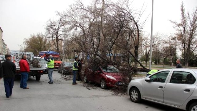 Şiddetli rüzgarlar büyük hasarlar verdi