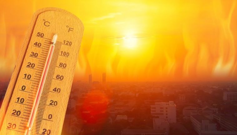 Son 8 yılın küresel olarak kaydedilen en sıcak havası