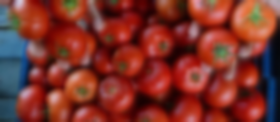 Türkiye'nin gönderdiği domatesler iade edildi