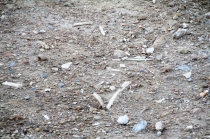 Taksim'deki kazılarda kafa tası ve kemik bulundu
