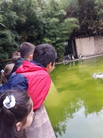 Özel Fatih İzmirlioğlu Okulu öğrencileri, Darıca Hayvanat Bahçesi'ni gezdi