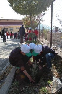 Bitlis’te ağaç dikim etkinliği düzenlendi