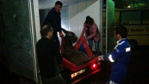 Bitlis’ten Muş’a eşek kurtarma operasyonu