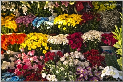 Akşehir 24 Saat Açık Çiçekçi