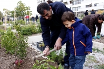 Ankara'da şehrin ortasında tarım yapılıyor