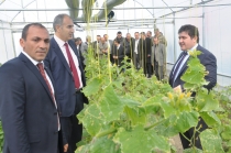 Erzurum'da güneş enerjili seracılık sistemi yaygınlaştırılıyor