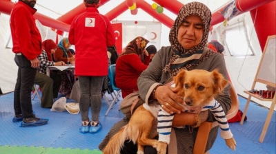 Deprem Köpeği Çadırda Yaşıyor