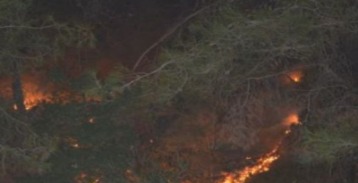 Kozan'da yangın çıktı