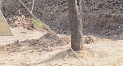 Leoparın gizlendiği bir vahşi doğa fotoğrafı