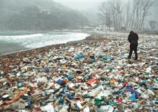 Plastik Kullanımının Zararları 